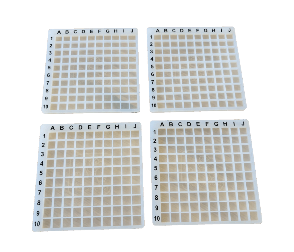 4 Griglie con Guide 10×10