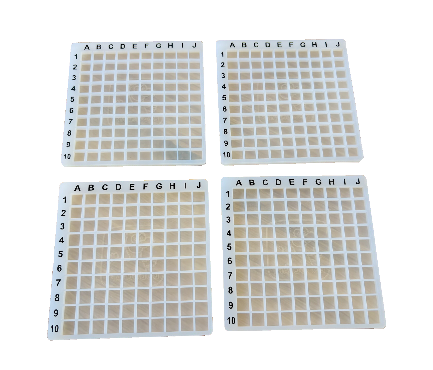 4 Griglie con Guide 10x10