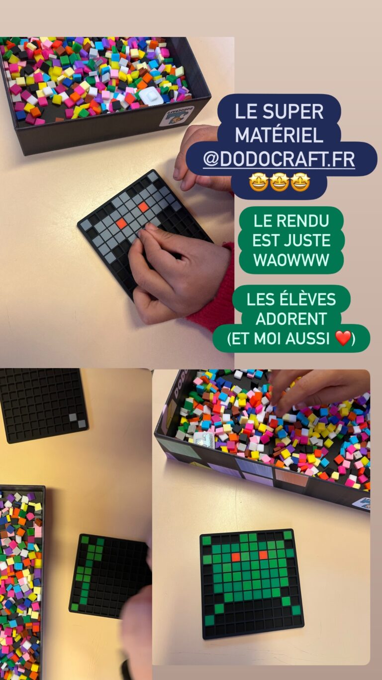 Dodocraft en classe